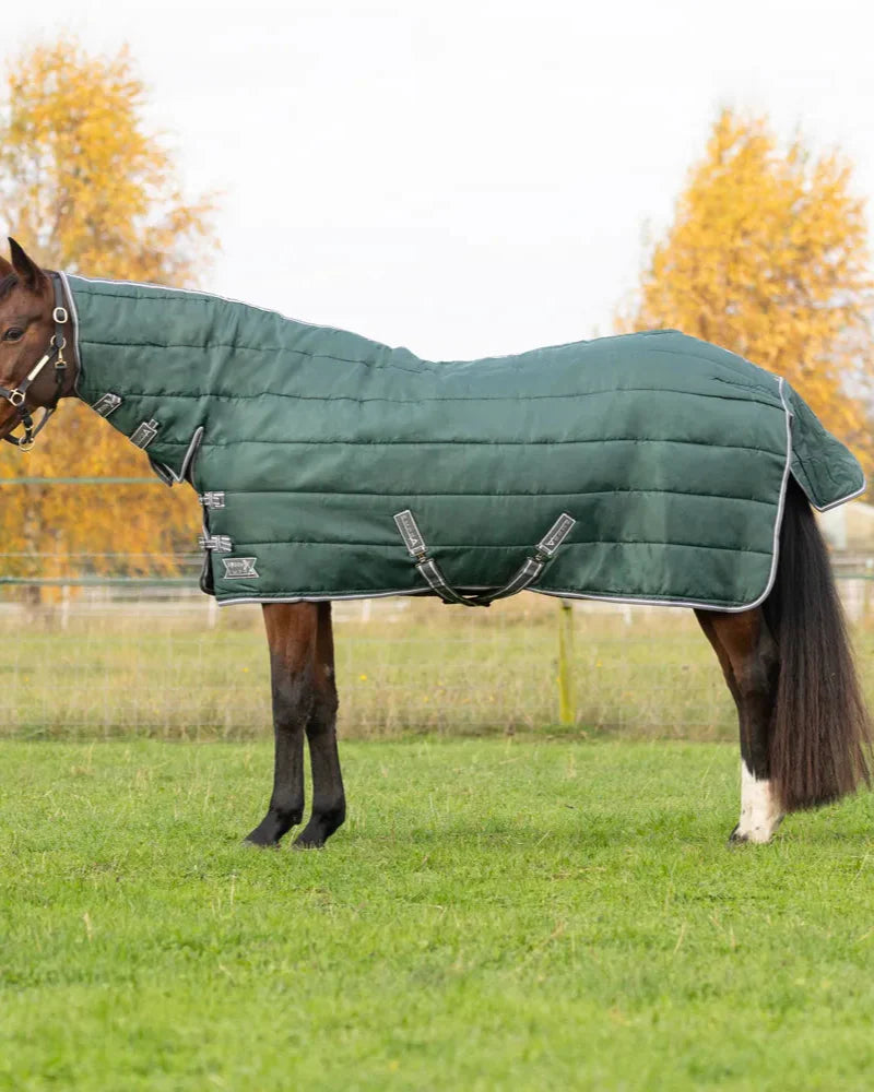 StormX Empra 300 Combi Stable Rug - Green