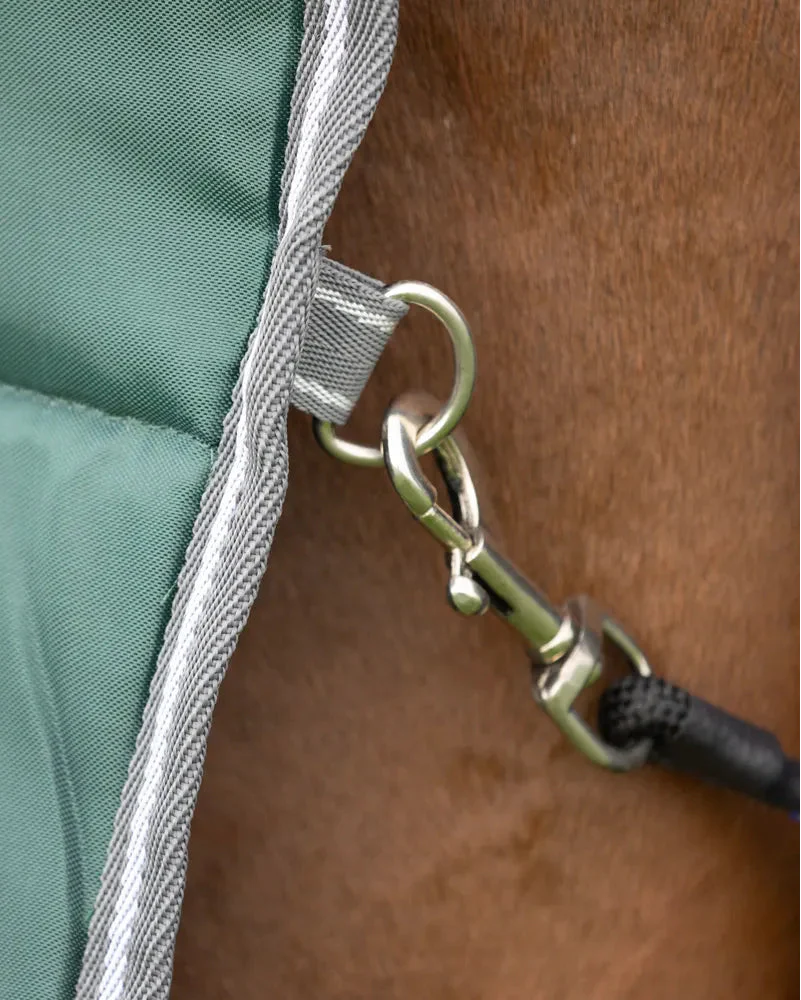 StormX Empra 300 Combi Stable Rug - Green