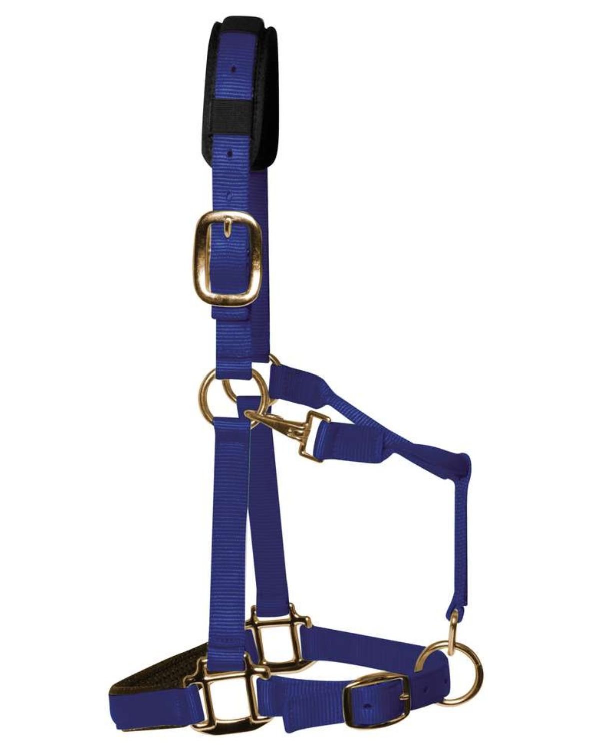 KM Elite Padded Headcollar Royal Blue Cob