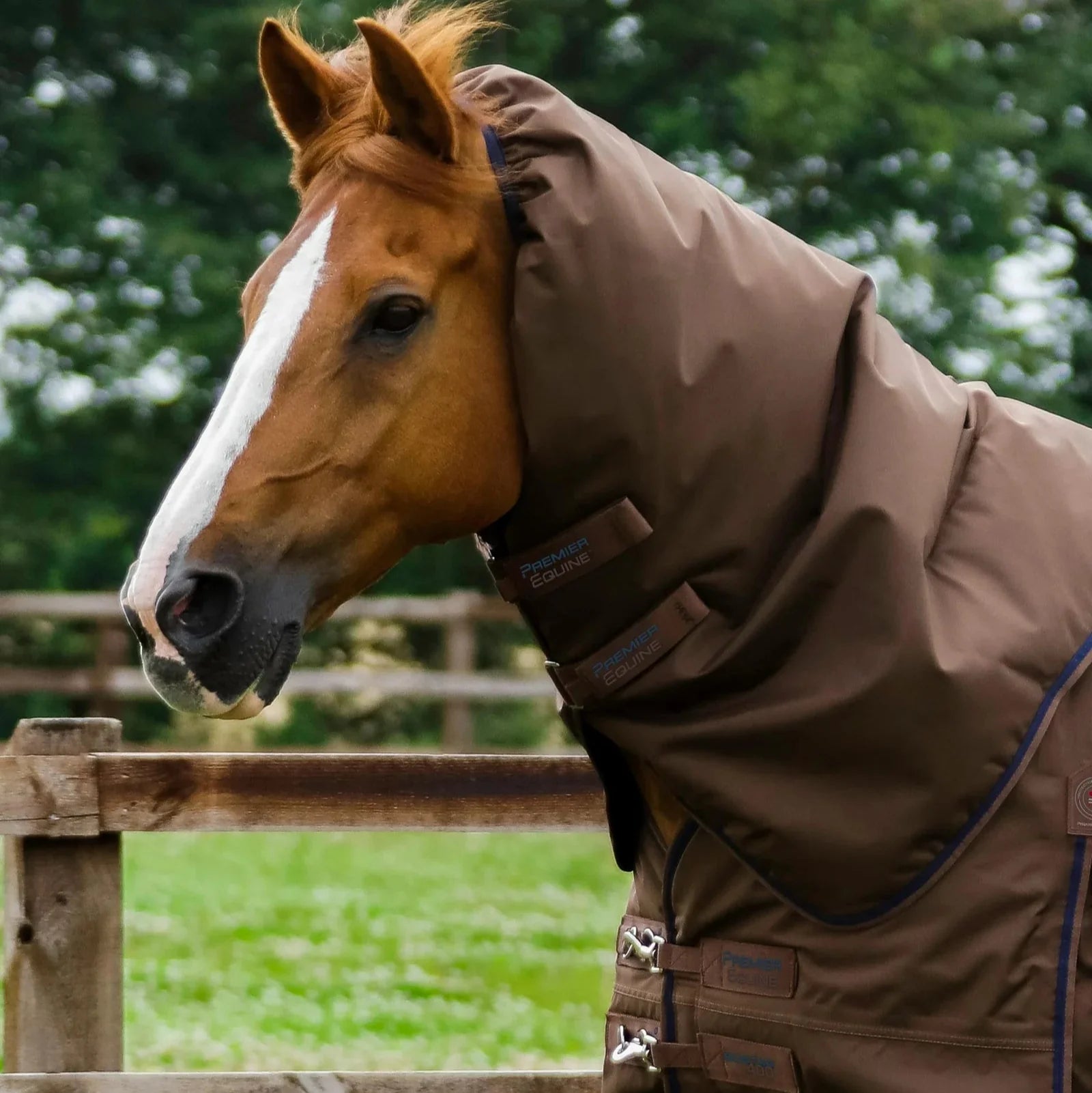 Premier Equine Buster 400g Turnout Rug with Snug-Fit Neck Cover Brown