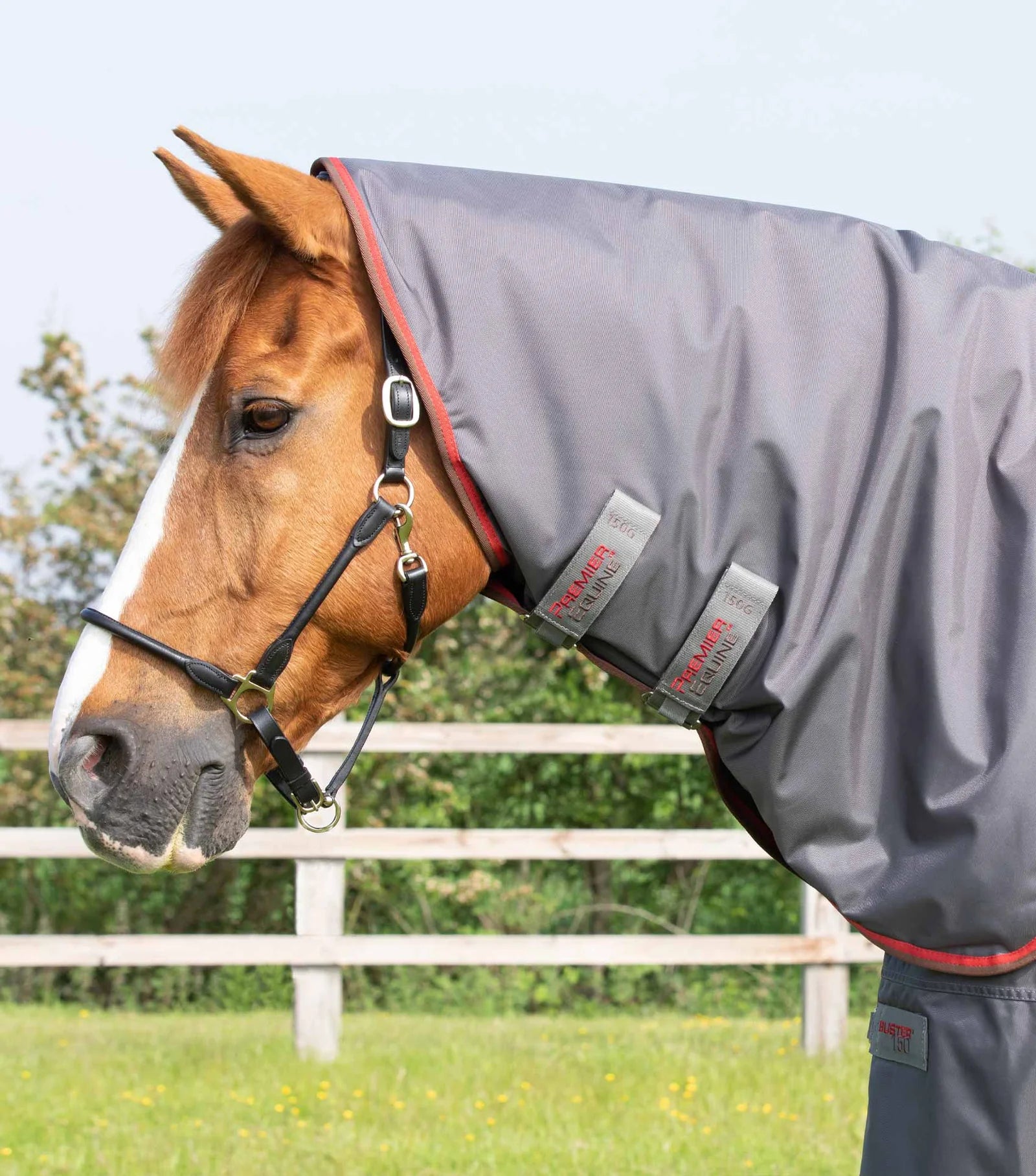 Premier Equine Buster 150g Classic Neck Cover - Medium