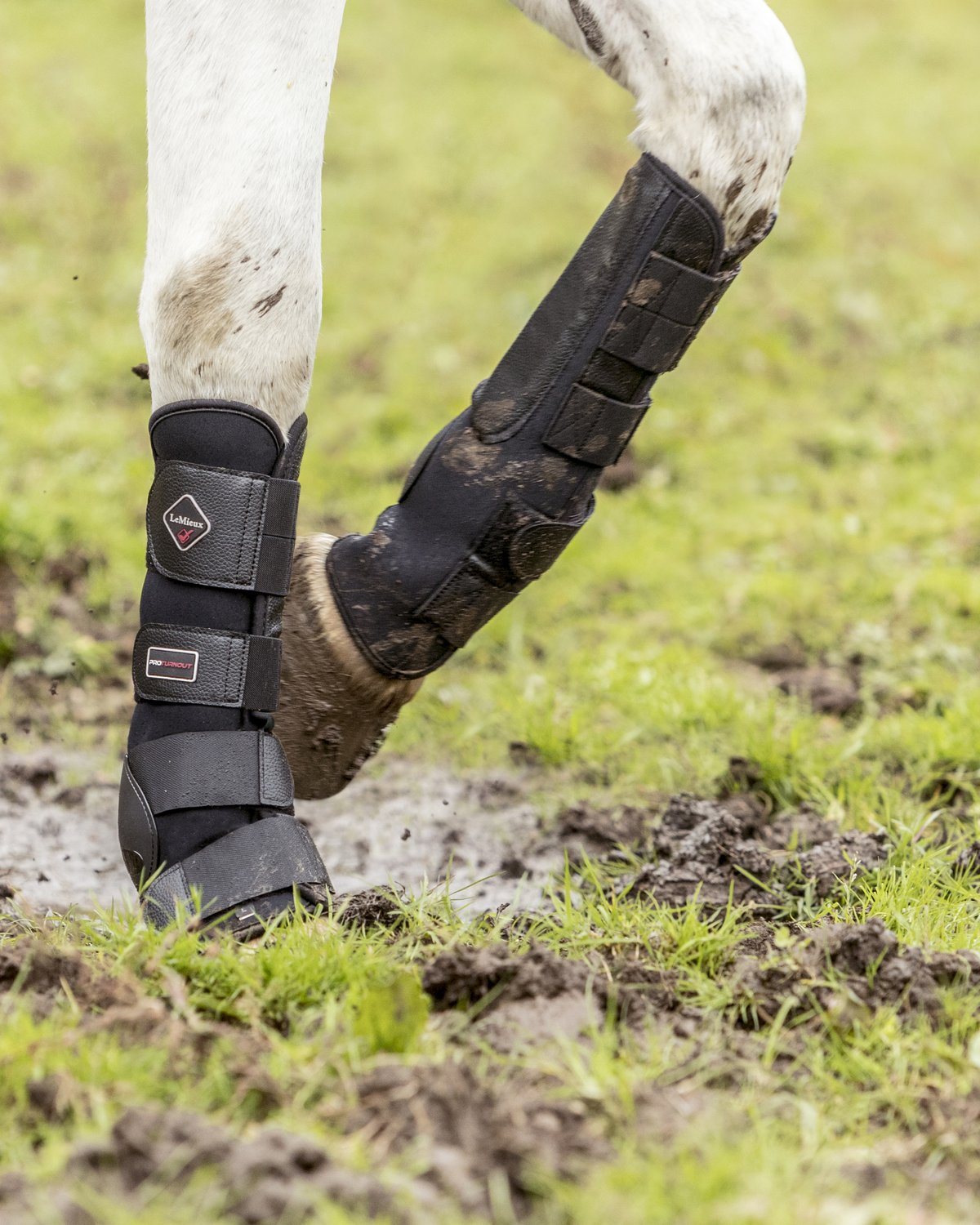 LeMieux Turnout Boots Black - Small