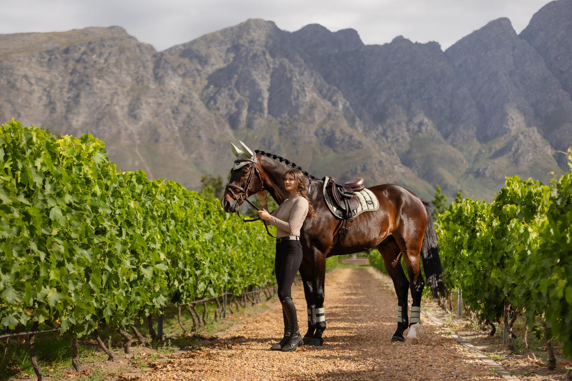 LeMieux Loire Classic GP Square Fern Small/Medium - NQP