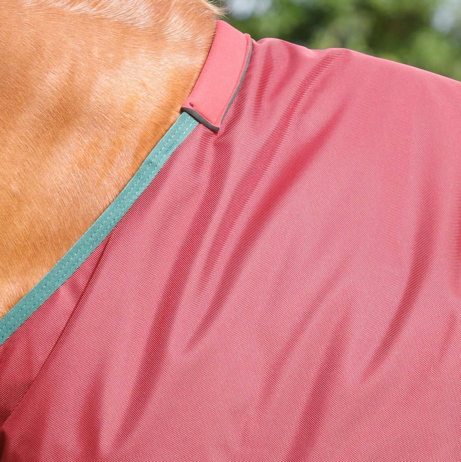 Premier Equine Titan 100g Original Turnout Rug Burgundy