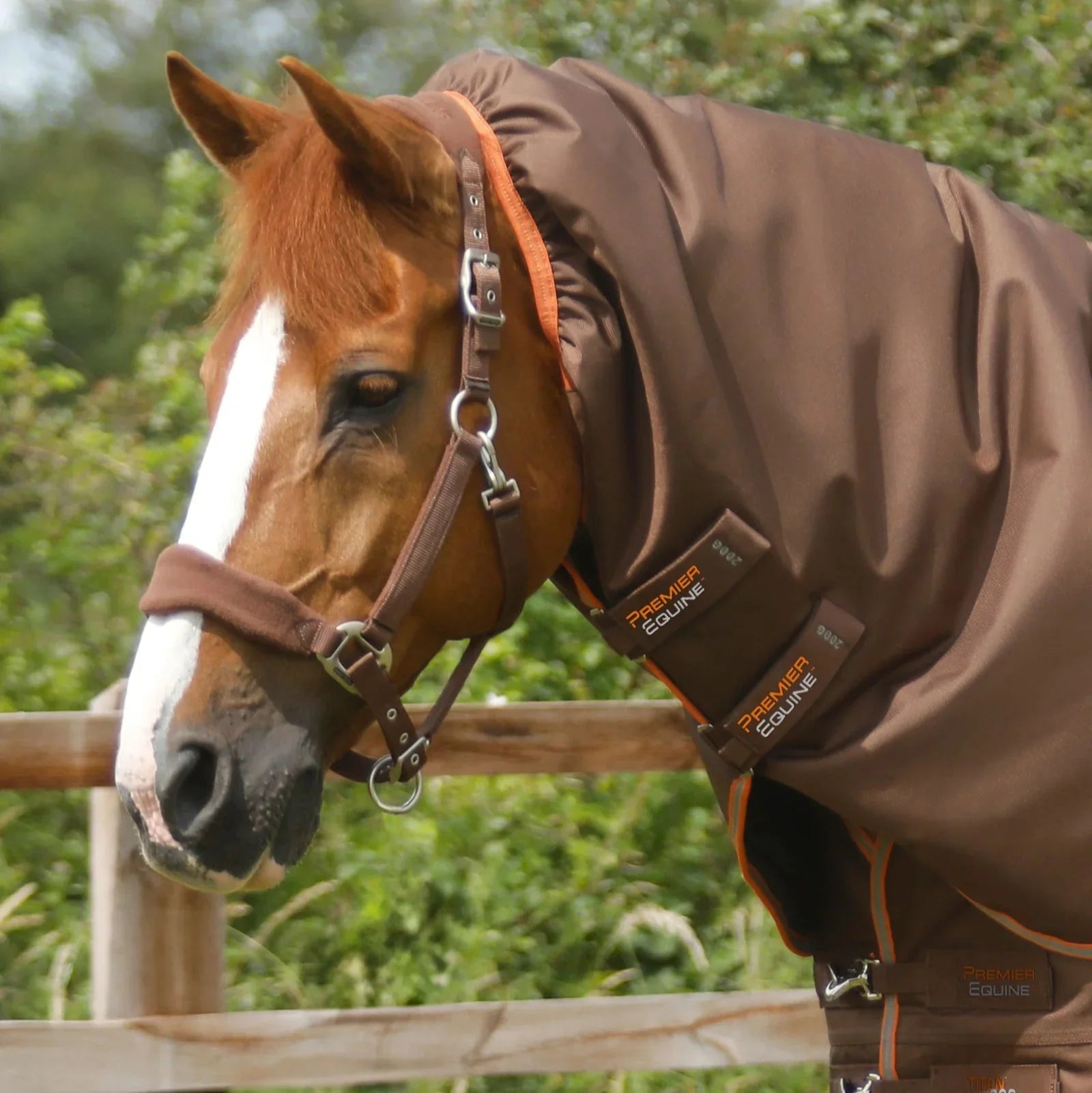 Premier Equine Titan 300g Turnout Rug with Snug-Fit Neck Cover Brown