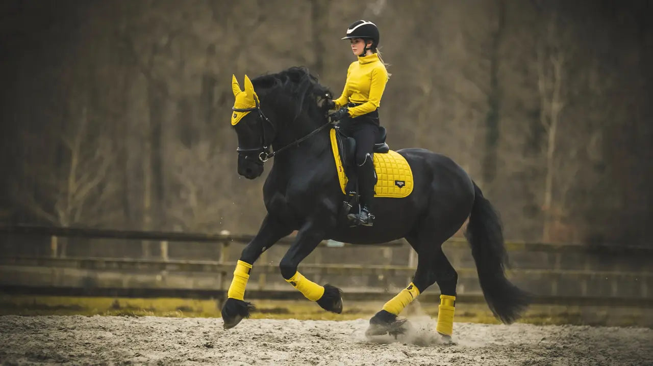 LeMieux Loire Memory Dressage Square Dijon