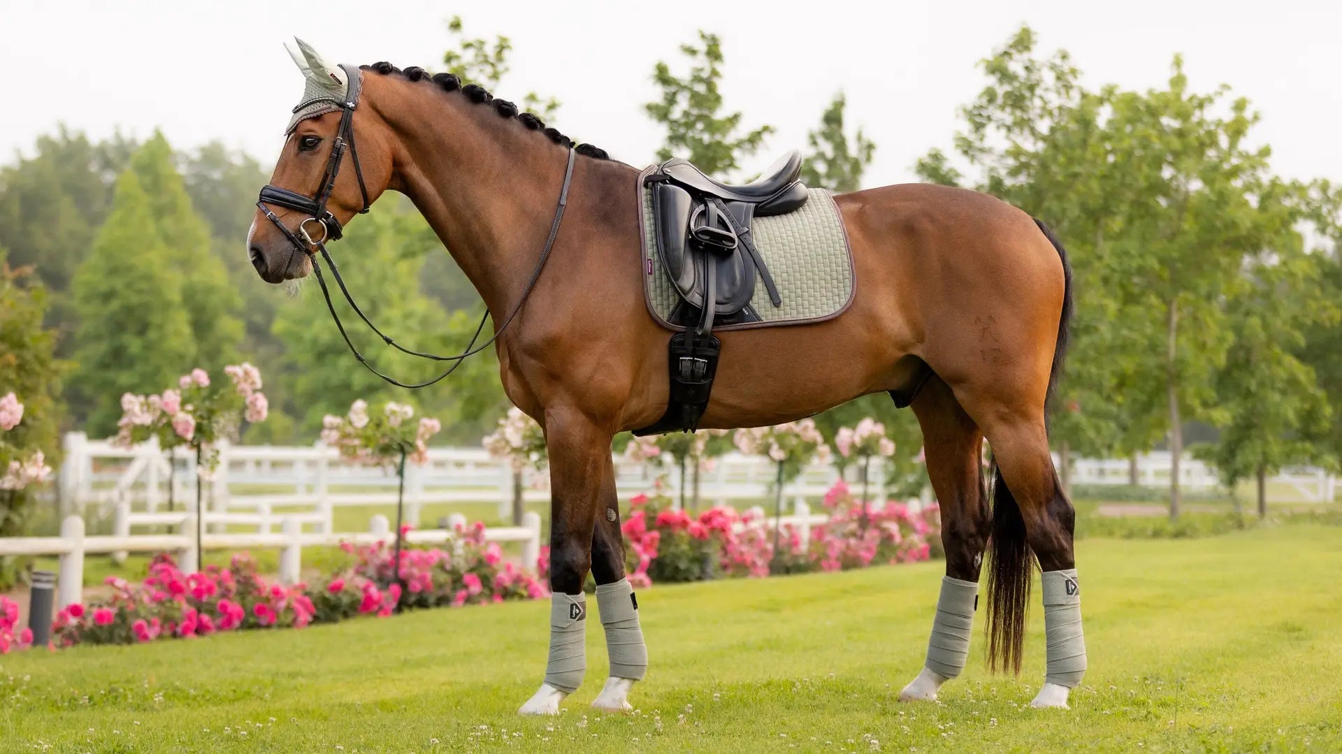 LeMieux Suede Dressage Square Fern S/M