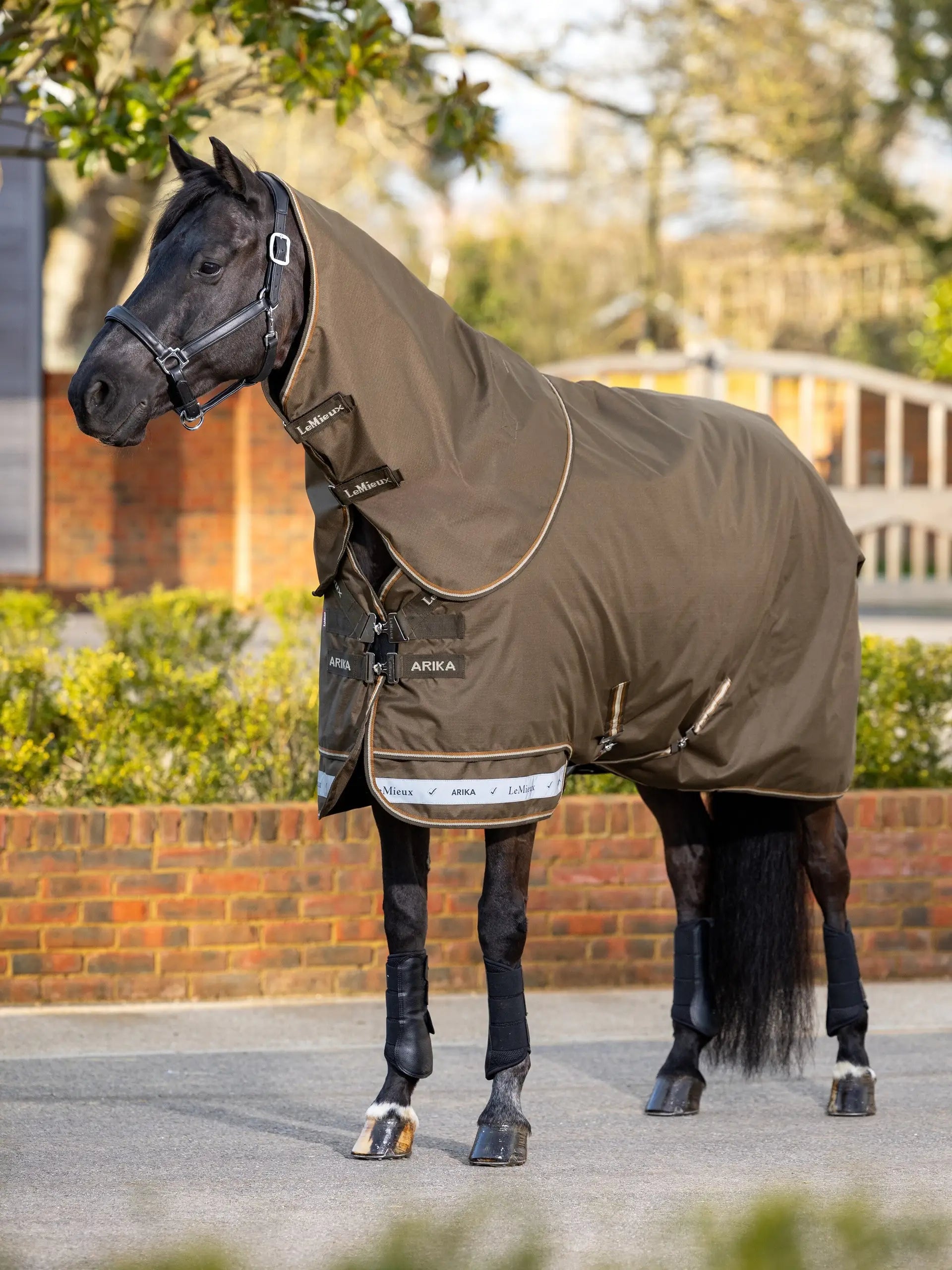 LeMieux Arika Ripstop 0g Turnout Rug Alpine