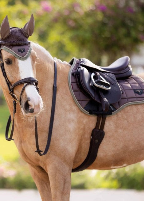 LeMieux Loire Classic GP Square Walnut