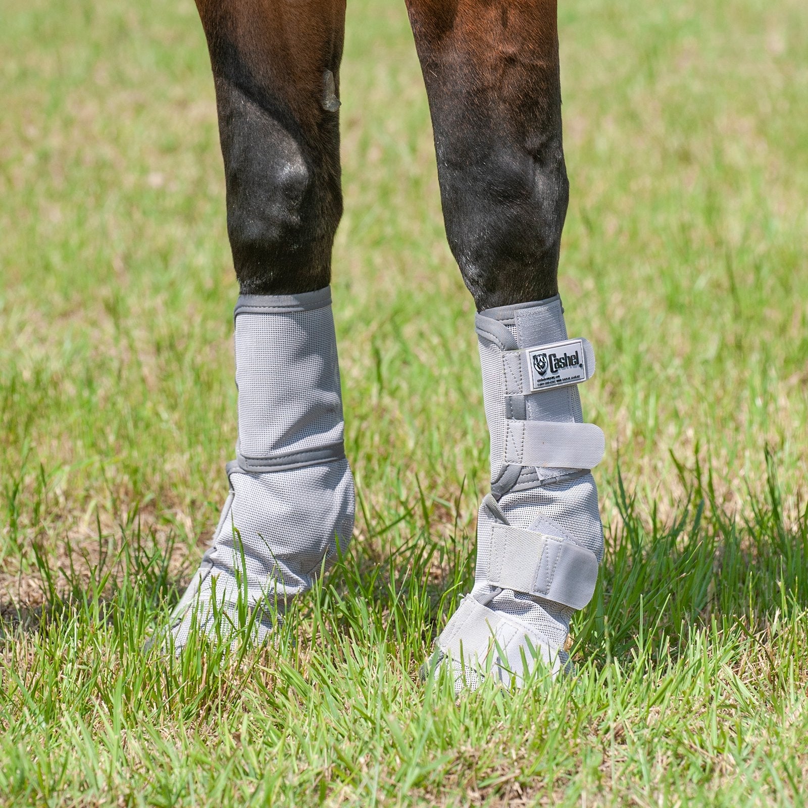 Cashel Crusader Leg Guards - Small Pony
