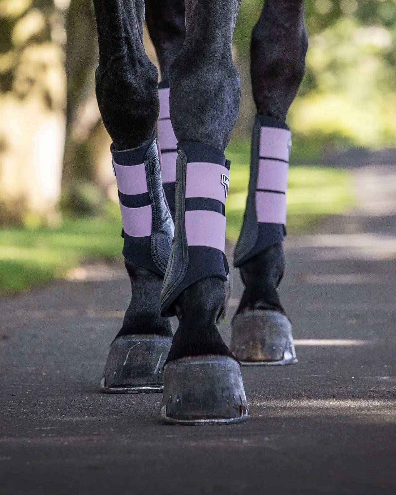 LeMieux Grafter Brushing Boots Musk - Horse Leg Protection for Schooling, Competition & Turnout. Equestrian Equipment by…