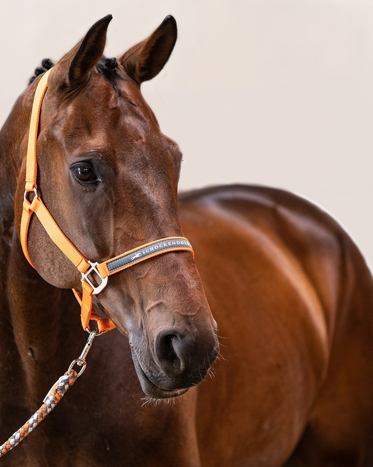 Schockemohle Head Collar Memphis orange