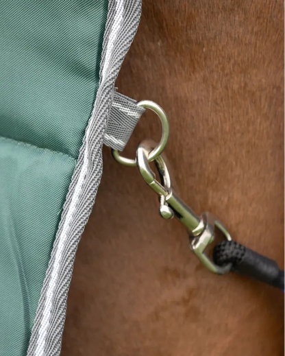 StormX Empra 300 Combi Stable Rug - Green