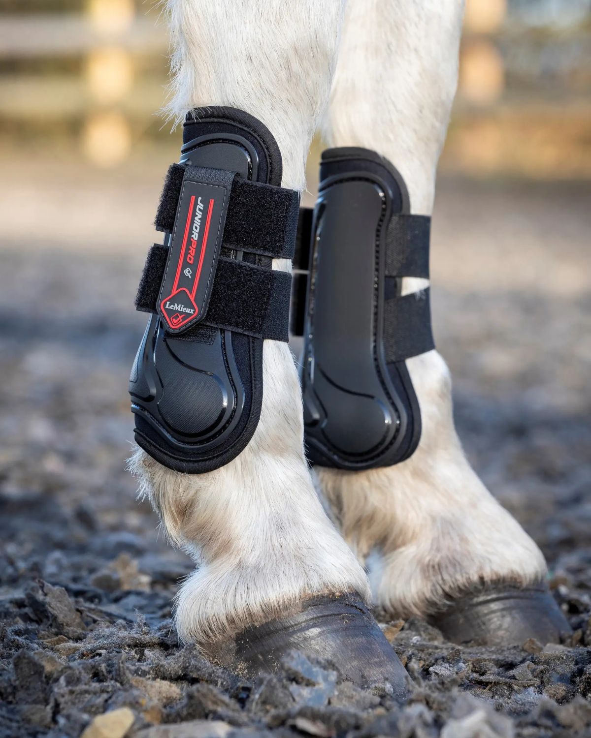 LeMieux Junior Pro Tendon Boots Black XS