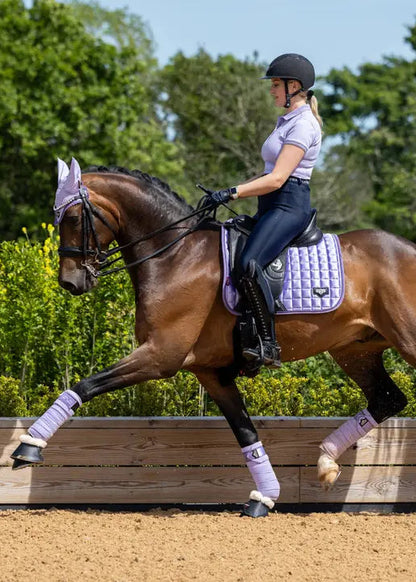 LeMieux Loire Classic Dressage Square Wisteria S/M