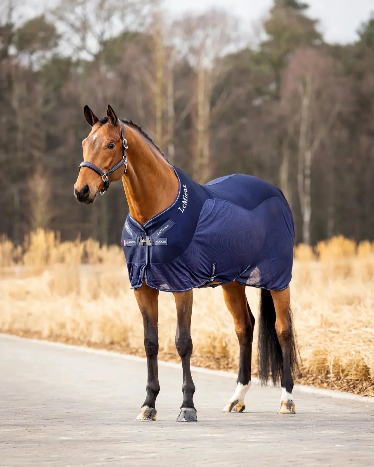LeMieux Kudos Mesh Sports Cooler Rug Navy