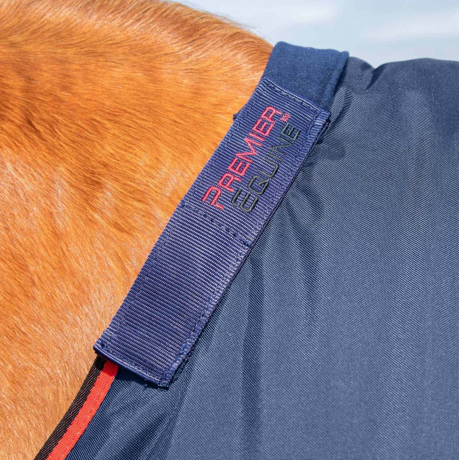 Premier Equine Buster 250g Turnout Rug with Classic Neck Cover Navy