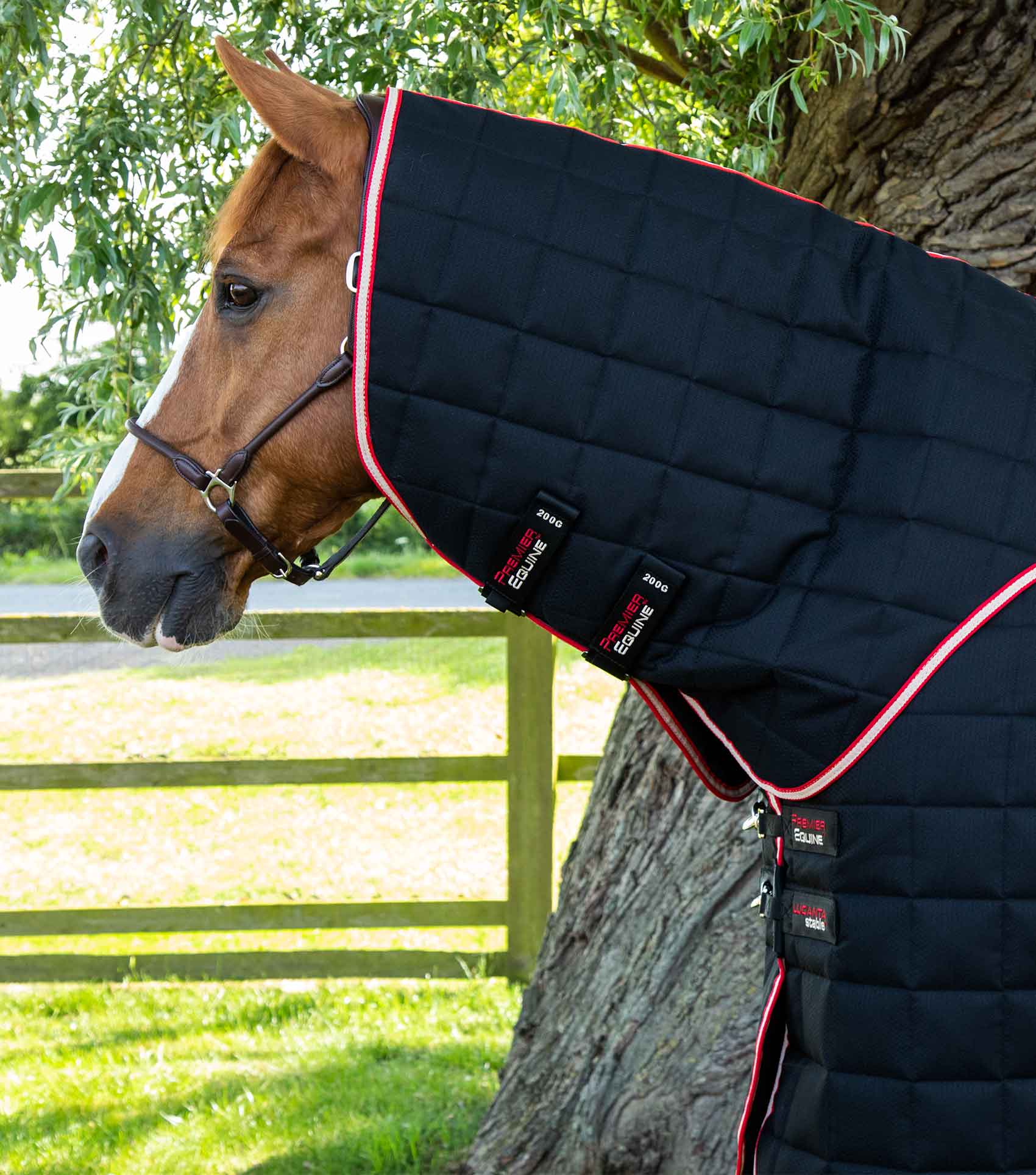 Premier Equine Lucanta 450g Stable Rug with Neck Cover Black