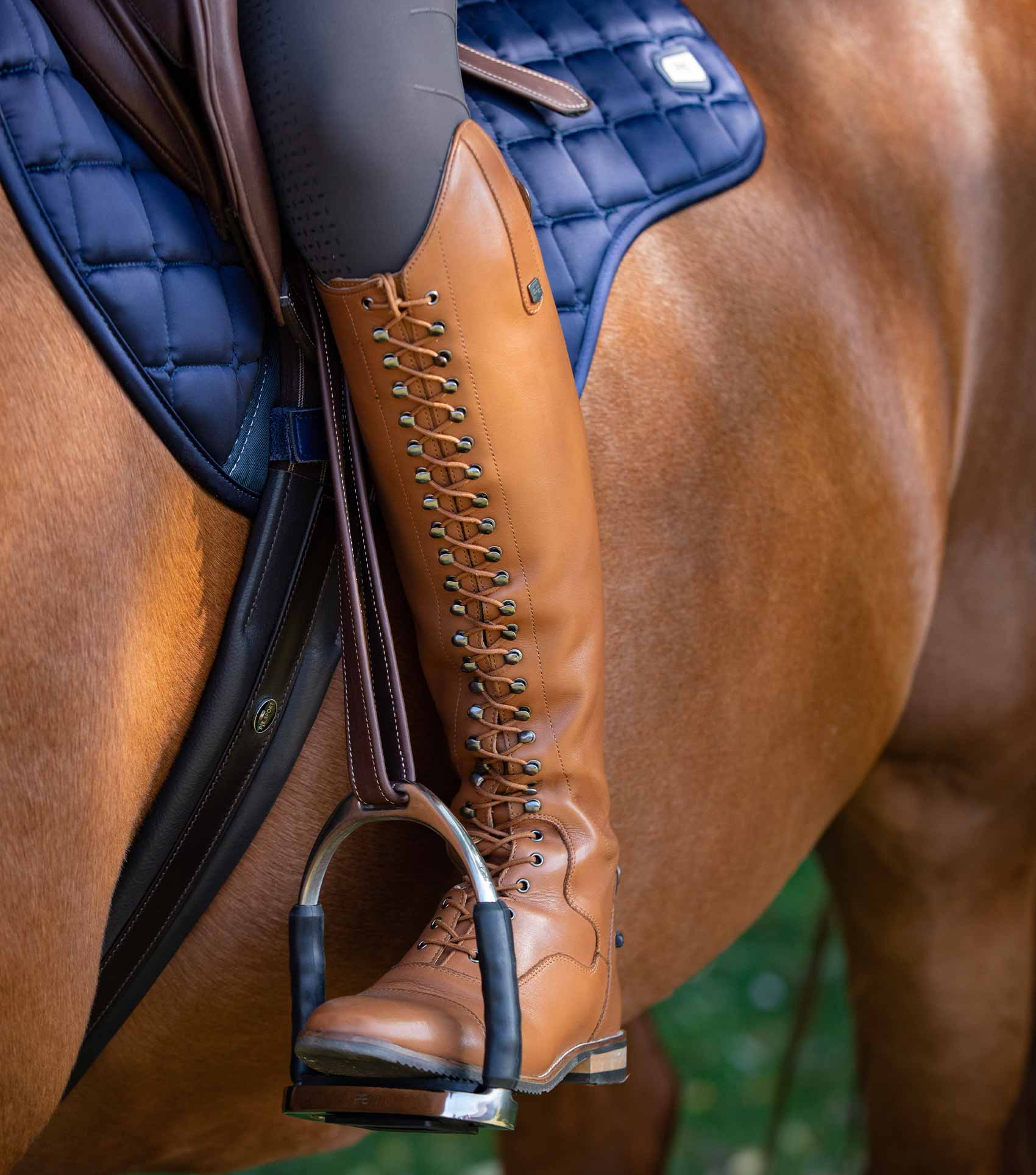 Premier Equine Maurizia Ladies Lace Front Tall Leather Riding Boot Cognac