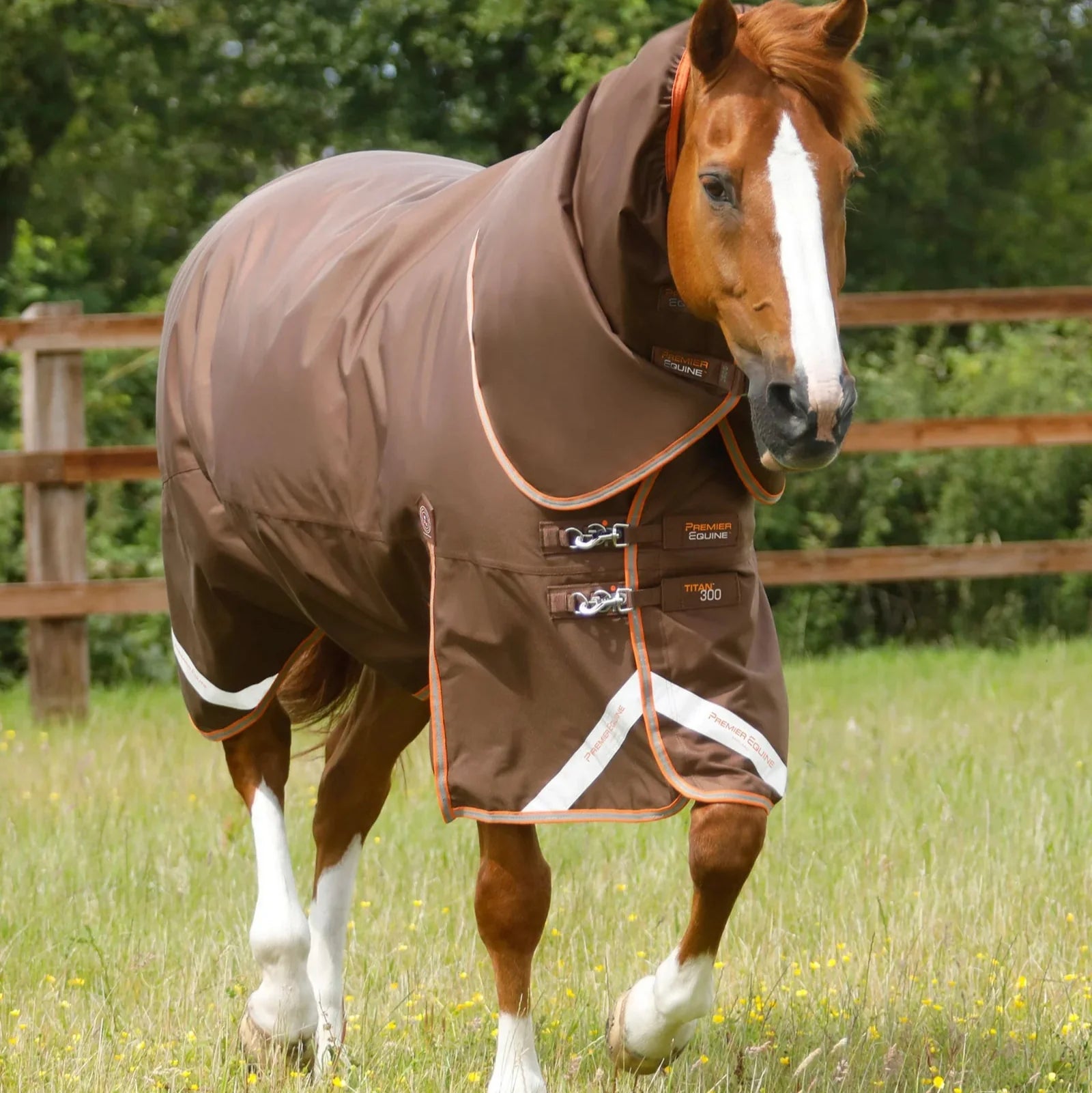 Premier Equine Titan 300g Turnout Rug with Snug-Fit Neck Cover Brown