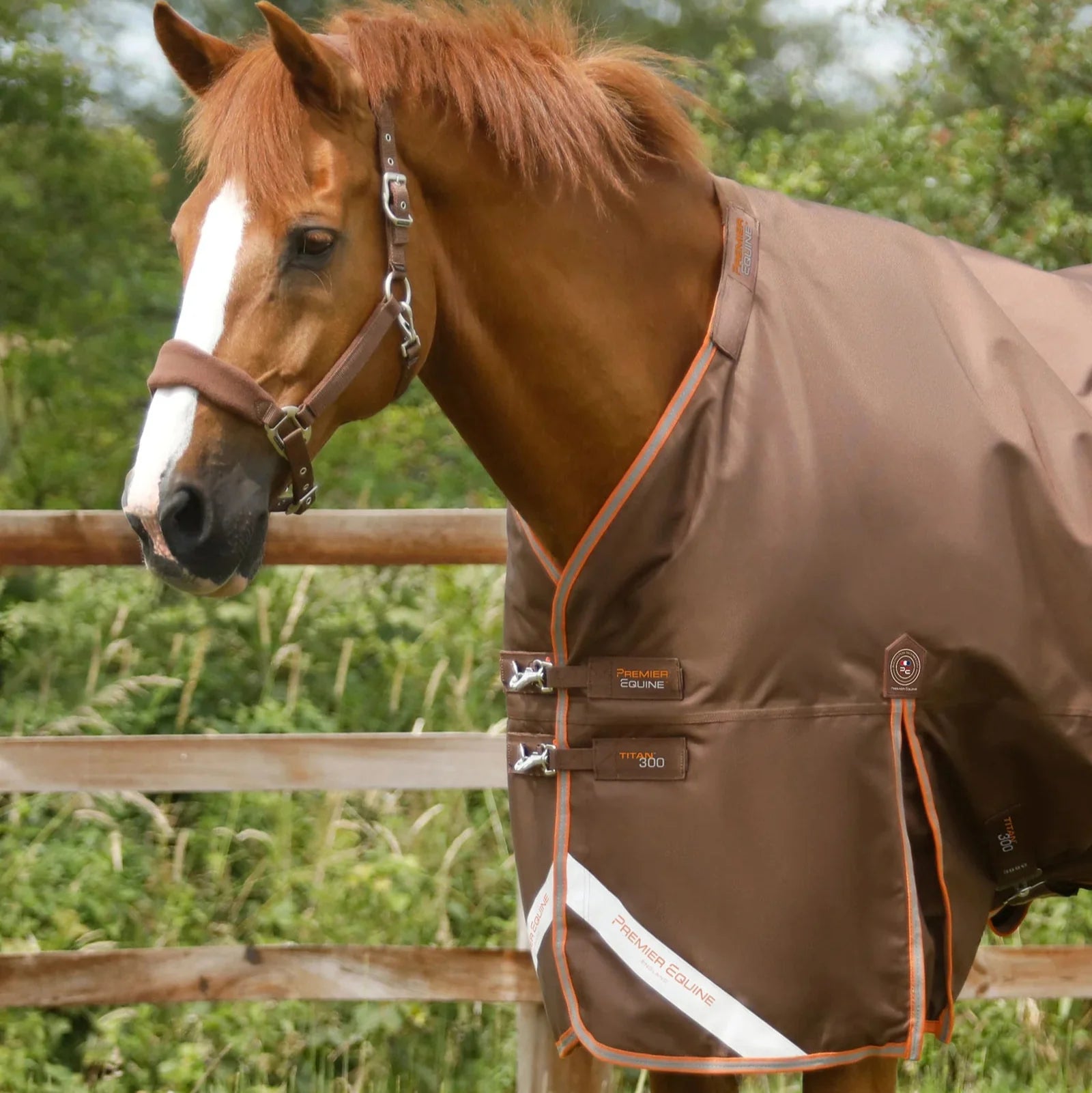 Premier Equine Titan 300g Turnout Rug with Snug-Fit Neck Cover Brown