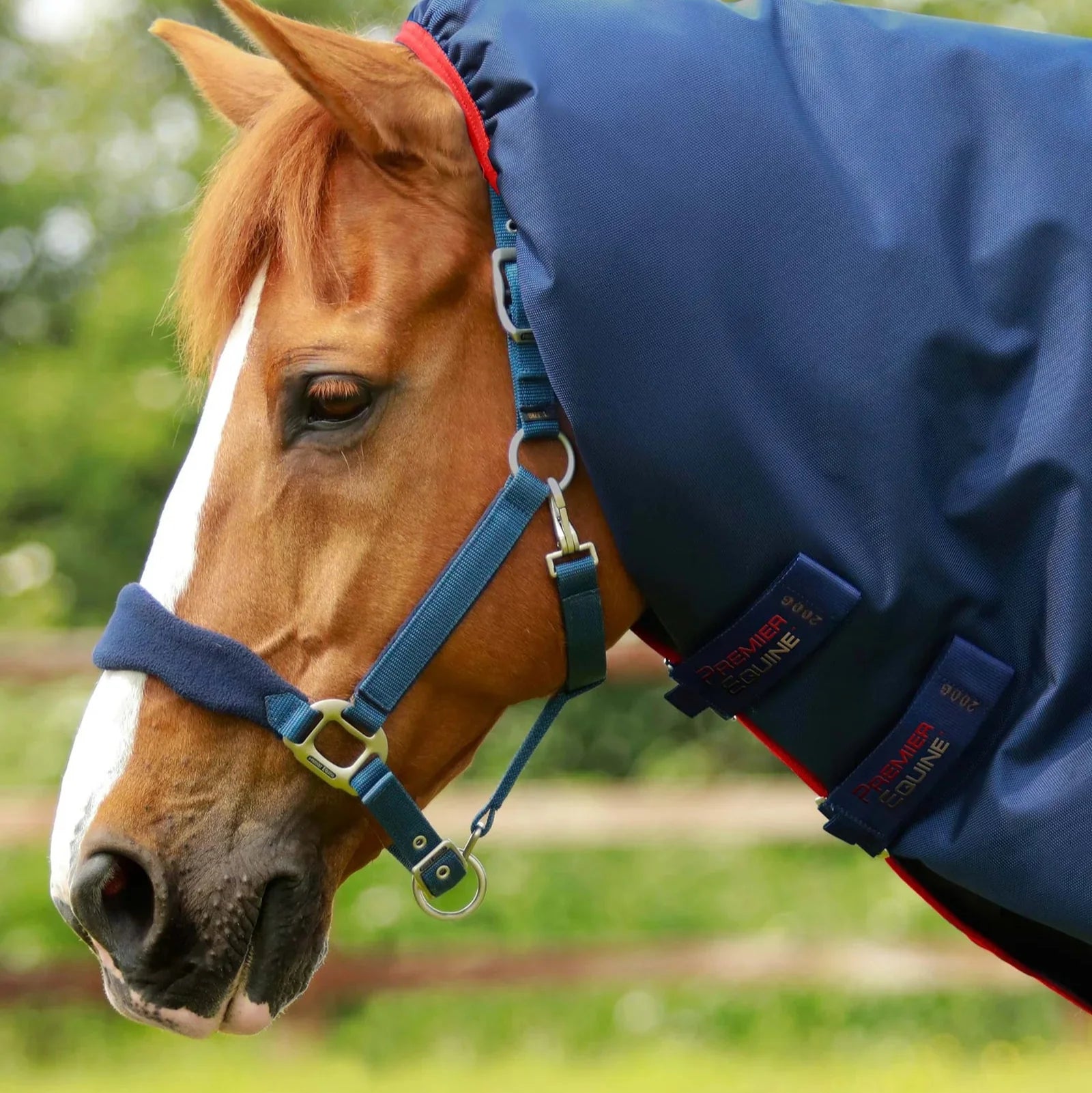 Premier Equine Titan 450g Turnout Rug with Snug-Fit Neck Cover Navy