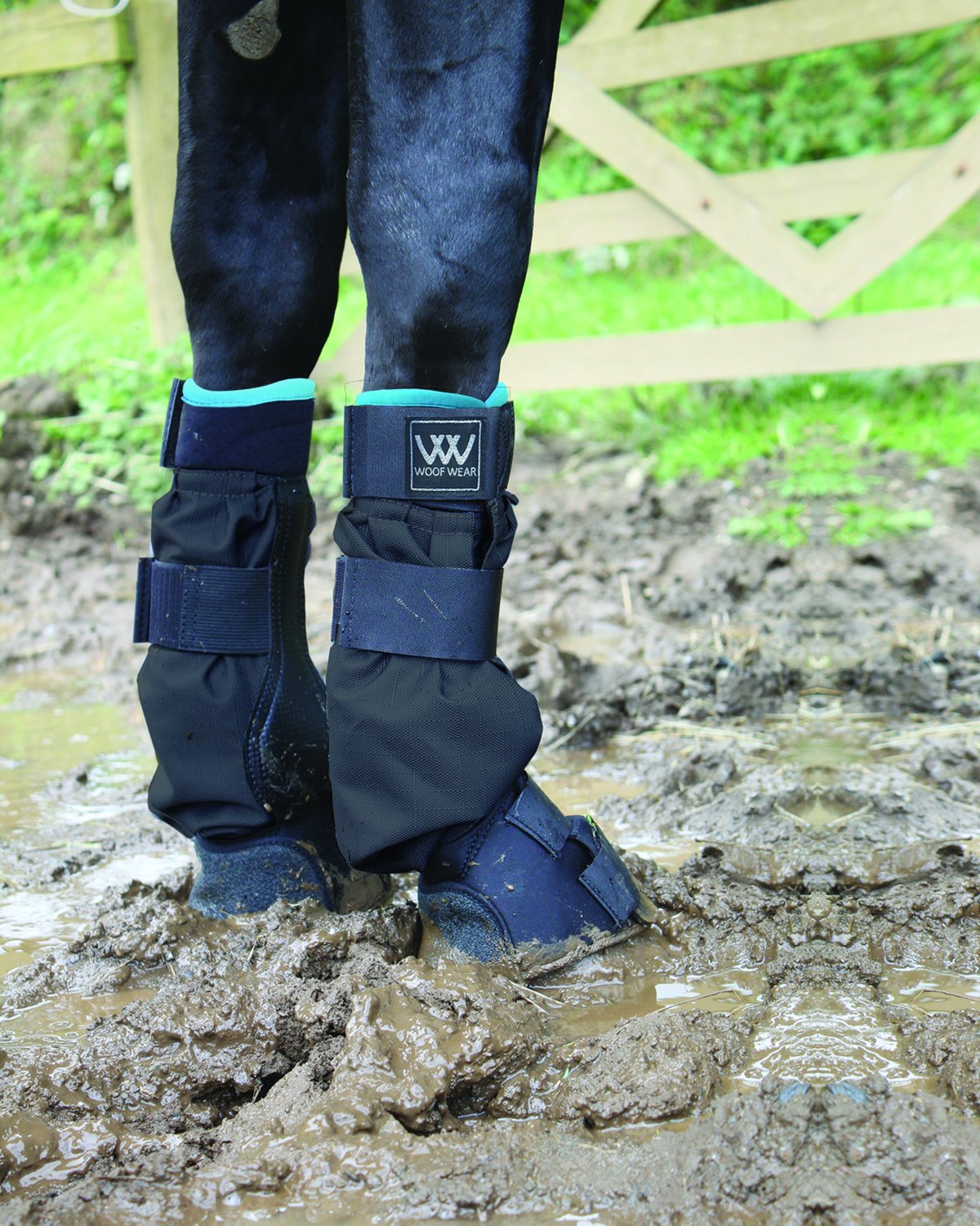 Woof Wear Mud Fever Boot Black Turquoise