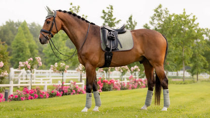 LeMieux Suede Dressage Square Fern S/M