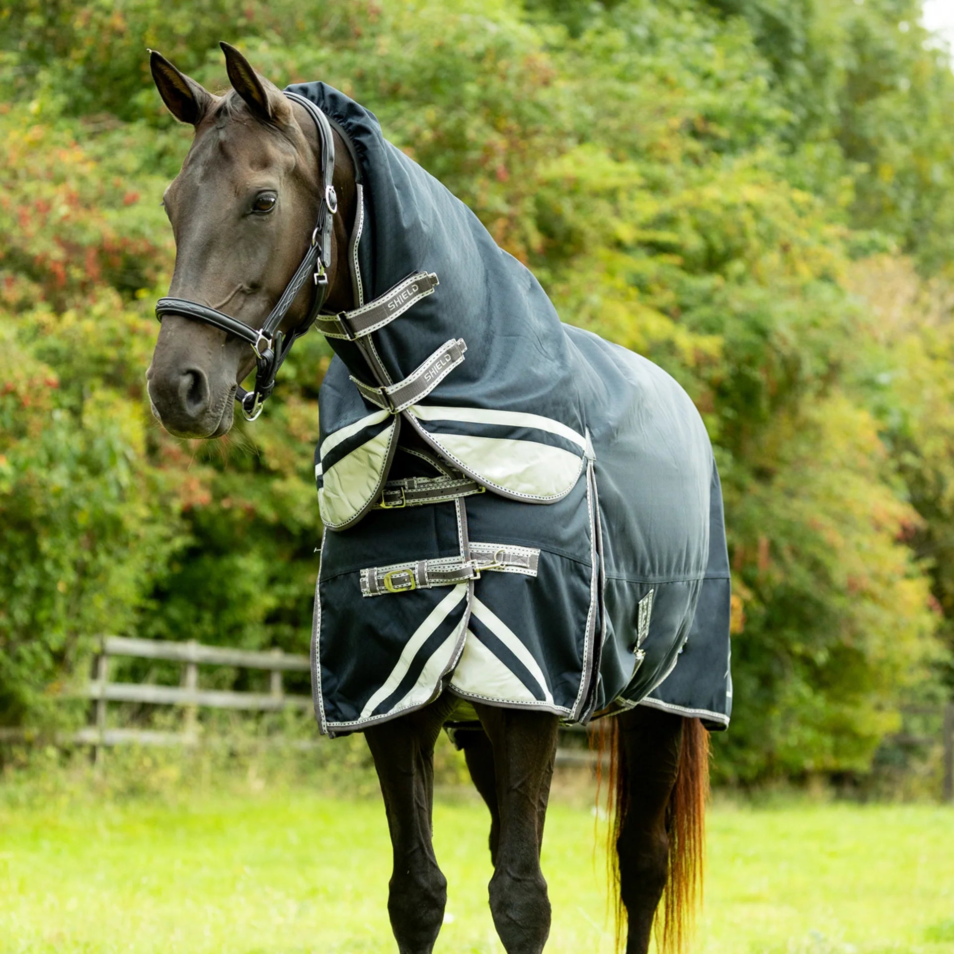 DefenceX Shield 50g Turnout Rug with Detachable Neck Navy 6'0"