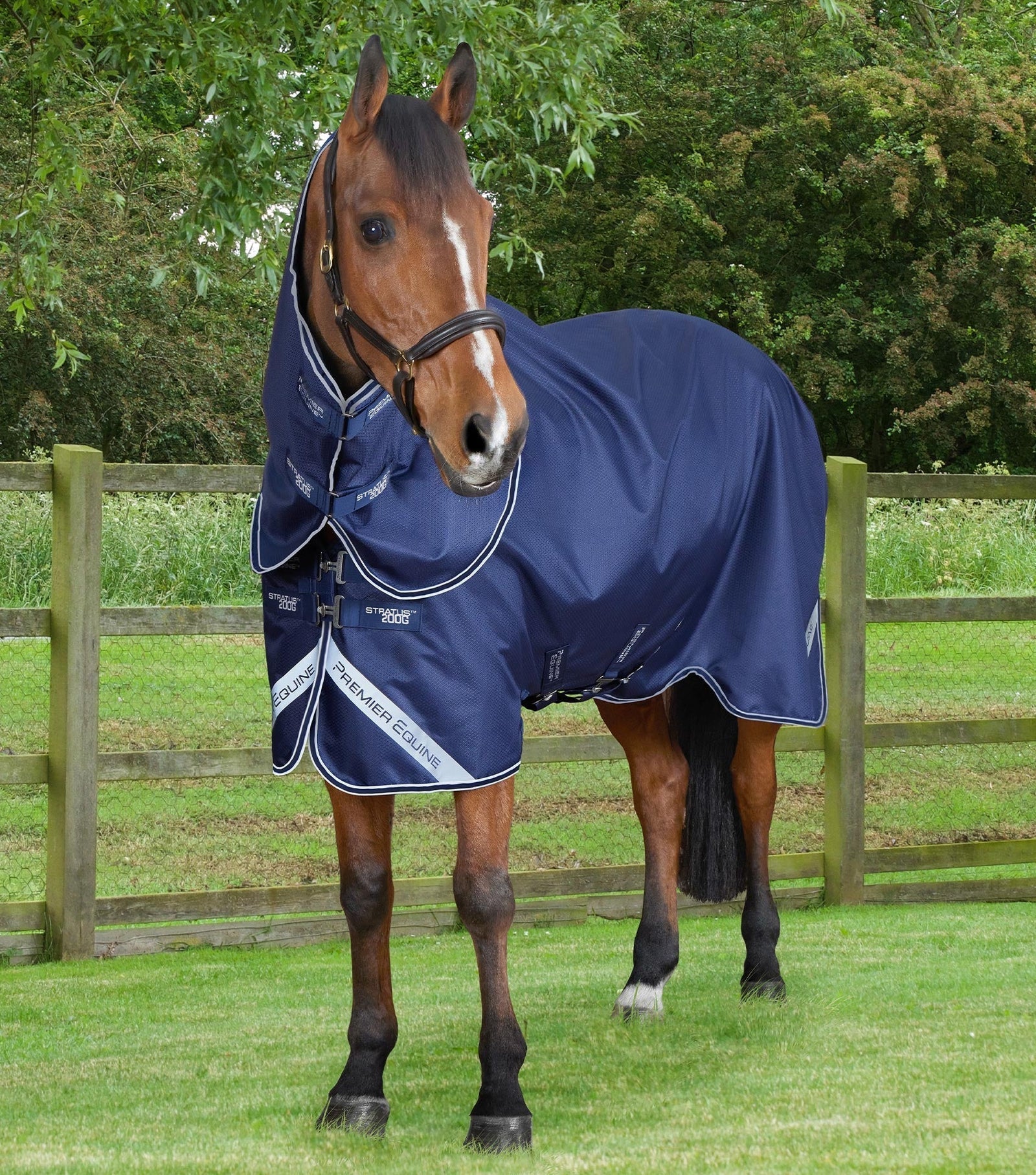 Premier Equine Stratus 600D Series 200g Turnout Rug with Classic Neck Cover Navy 5'3"